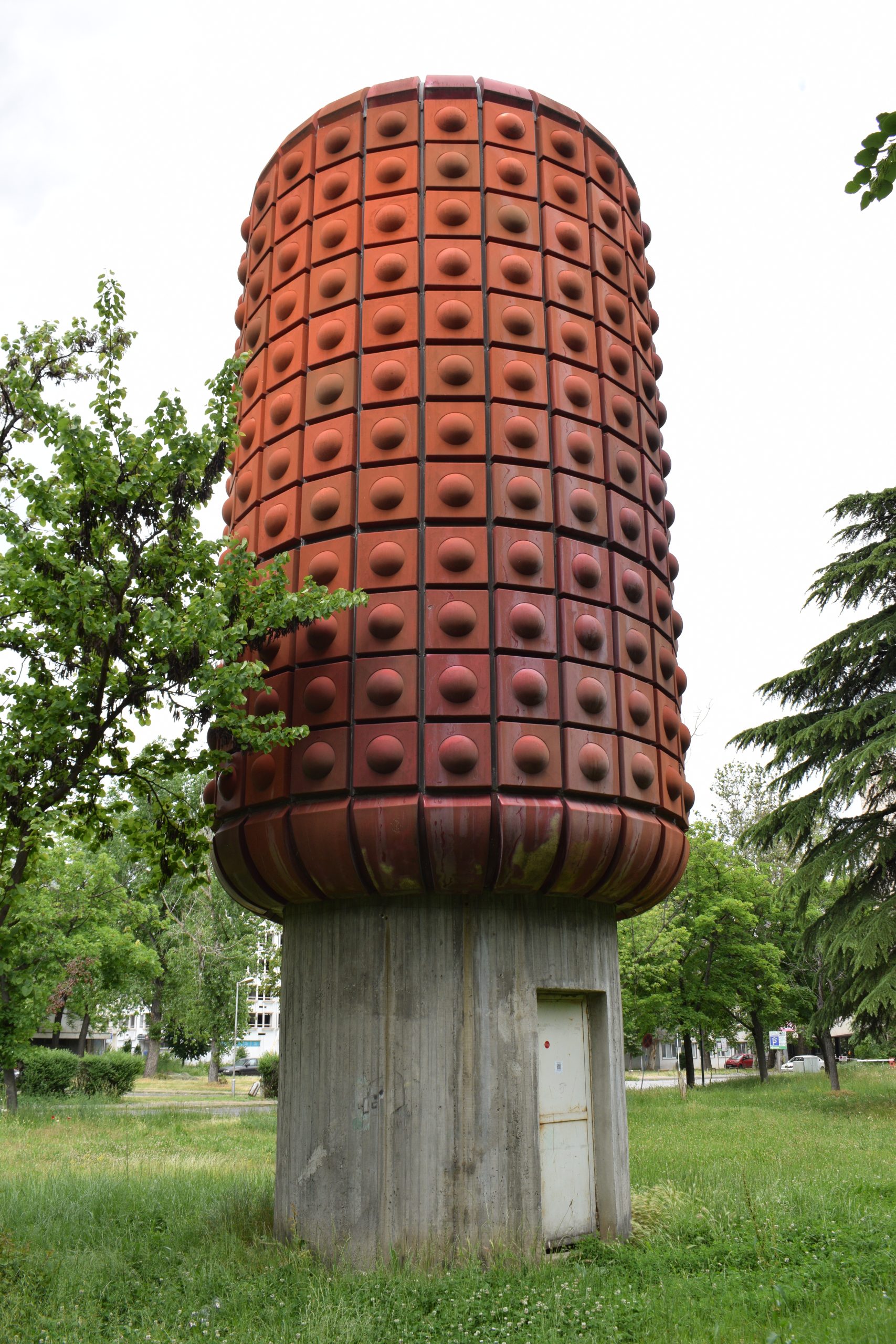 dsc_0351-scaled